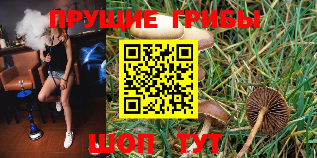 Псилоцибиновые грибы мухоморы Дедовск