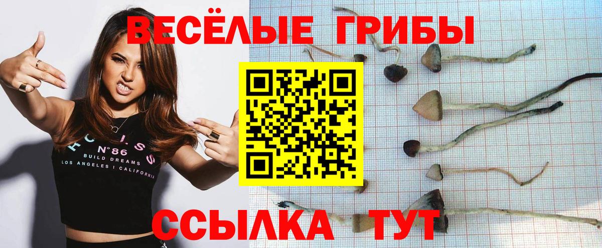 Галлюциногенные грибы Magic Shrooms  Вход с VPN  Дедовск 